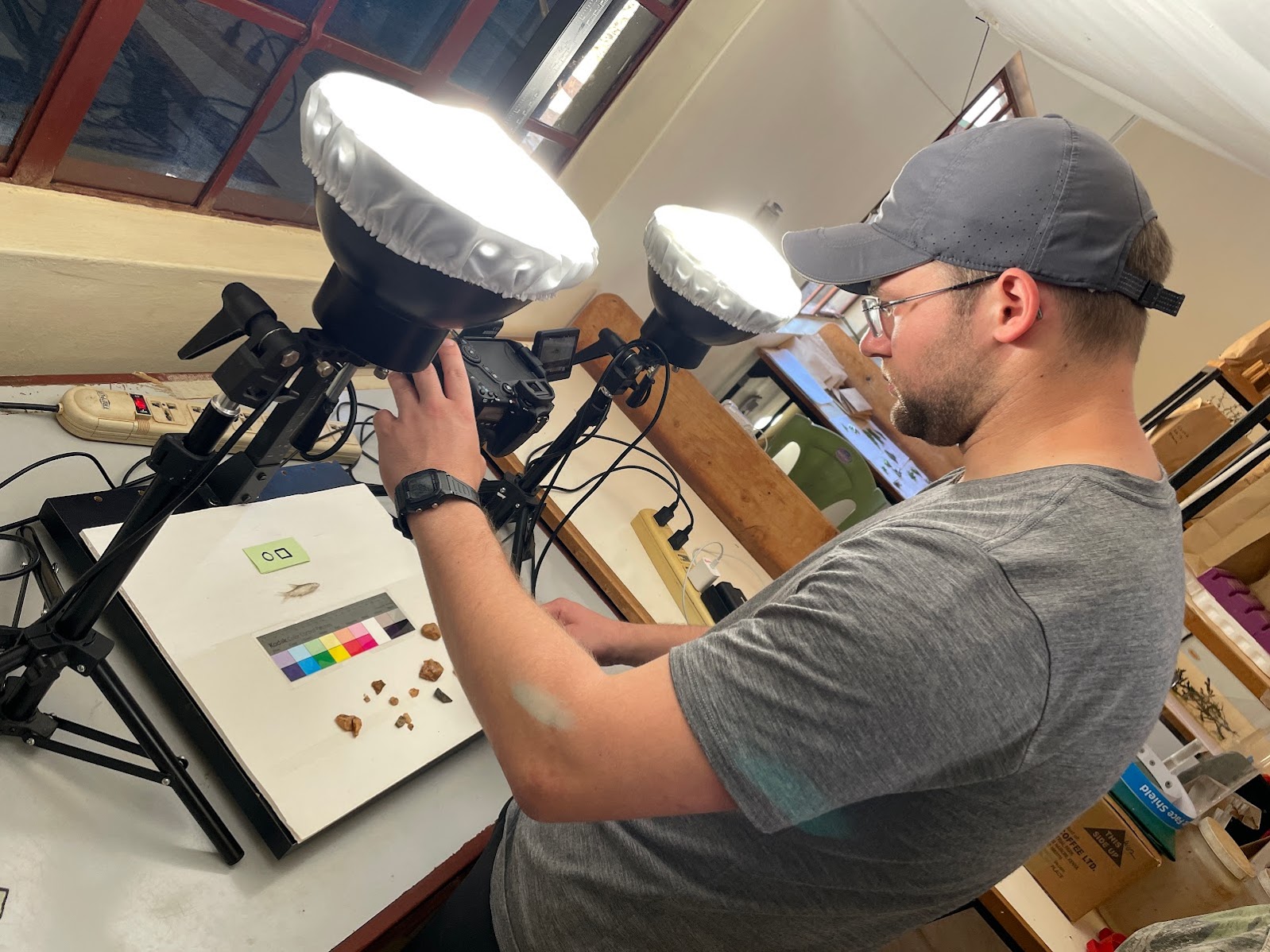 A researcher using machine vision to identify species.